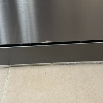 LG Bulaşık Makinesinde Kapak Altı Boya Dökülmesi Garanti Kapsamına Alınmalı