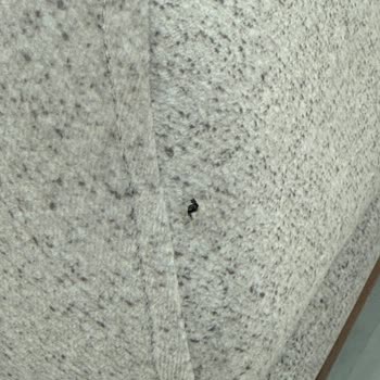 Kusurlu Koltuk Takımı Ve Gardırop, Eksik Ürünler, İletişimsiz Satıcı Ve Tamamlanmamış Kurulum