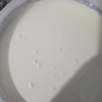 Sütaş Yoğurdunda Böcek Benzeri Yabancı Cisim Bulundu: Hijyen İhlali Ve İade Talebi