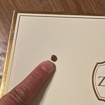 Zaitoune Sweets Florya Şubesinde Tatlının İçinde Taş Çıkması Ve Şubenin Tehditkar Yaklaşımı