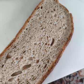 Groseri'de Üretim Ve Son Kullanma Tarihi Hatasıyla Gelen Küflü Ekmek