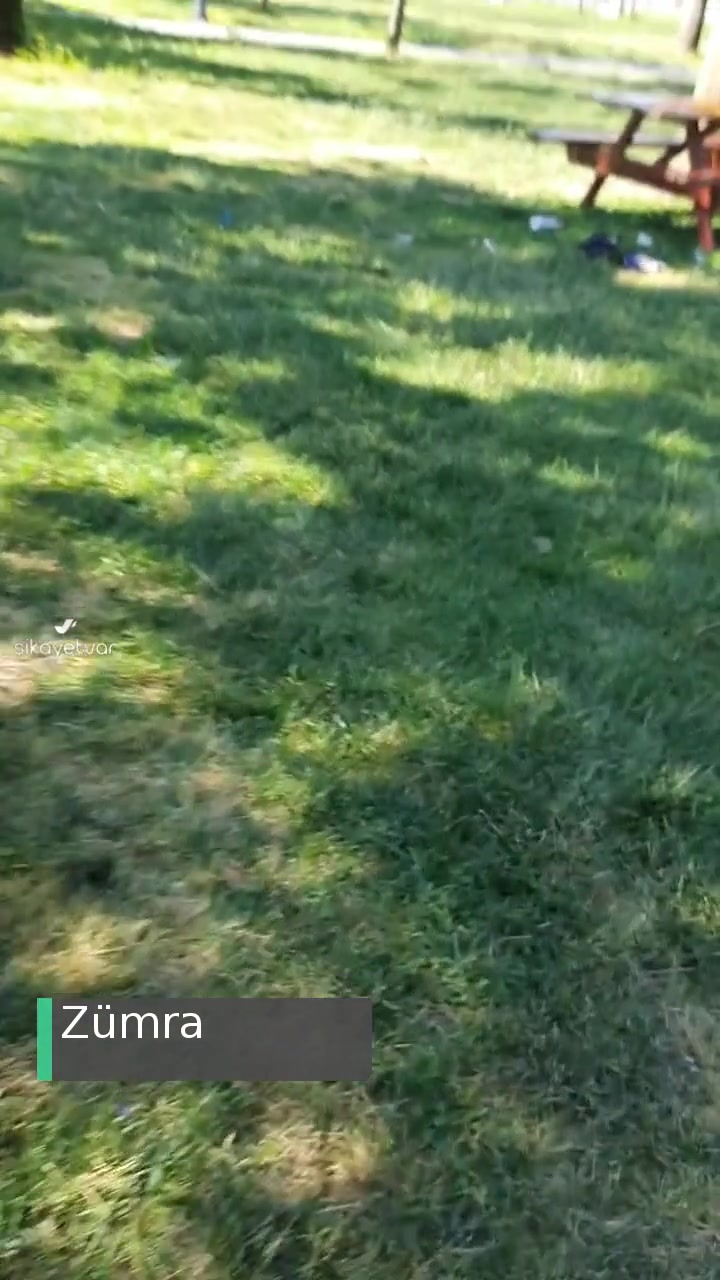 Eyüp Sahil Parkı Çevre Kirliliği videonun kapak resmi