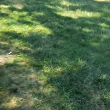 Eyüp Sahil Parkı Çevre Kirliliği