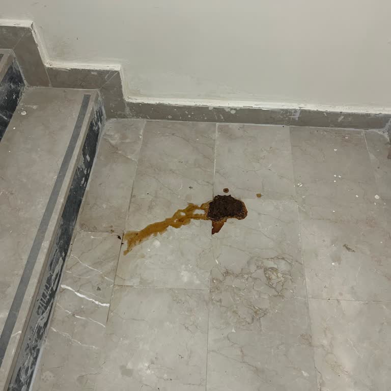 Ortak Alanda Temizlik İhmali Ve Yöneticinin Sorumlulukları Yerine Getirilmemesi