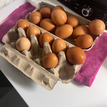 Kırık Yumurta Ve Cevapsız Müşteri Hizmeti
