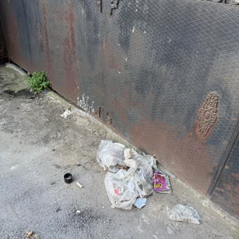 Sağlam Sokakta Çöp Birikmesi Ve Kötü Kokuya Karşı Temizlik İhmaline Şikayet