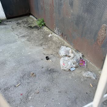 Sağlam Sokakta Çöp Birikmesi Ve Kötü Kokuya Karşı Temizlik İhmaline Şikayet