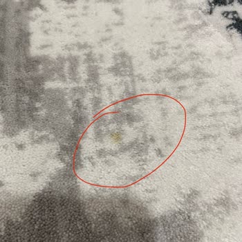 Halılarım Kirli Ve Lekeli Teslim Edildi, Fiyat Farkı Ve Sorumluluk Reddi