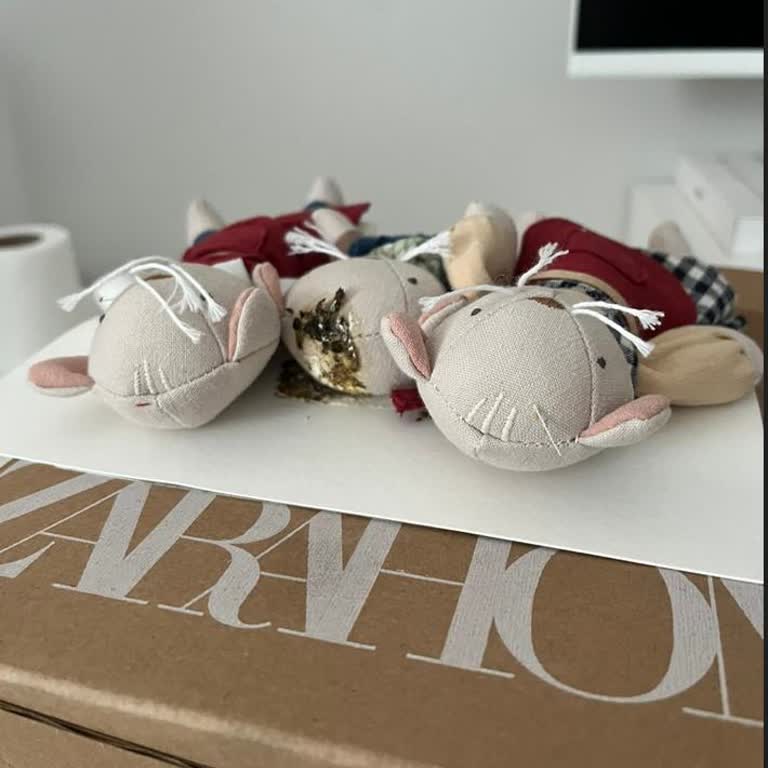 Zara Home'da Bebek Oyuncağı Kuş Dışkısı İçeriyor