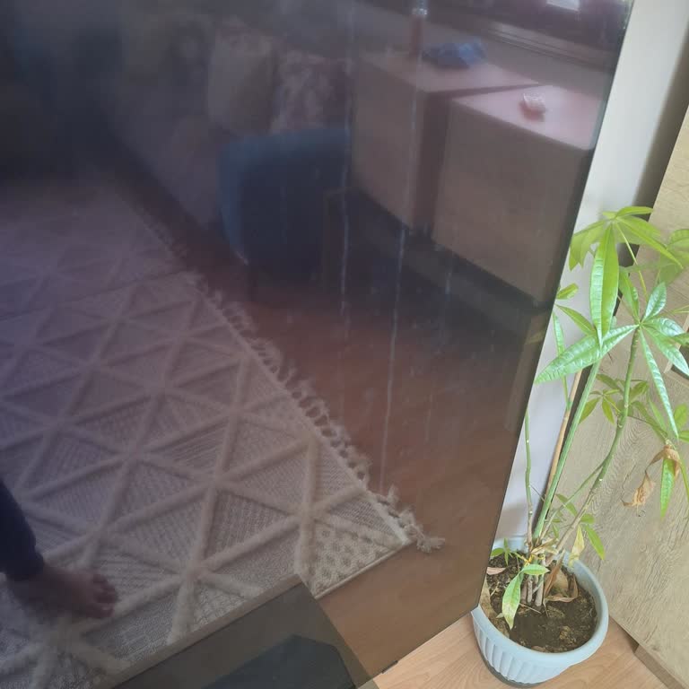 Garanti Kapsamındaki OLED TV'de Dikey Çizgiler Ve Servisin Çözüm Sunamaması