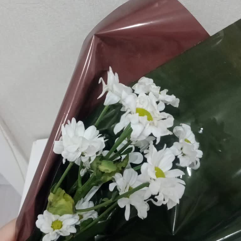 Çiçek Sepeti Yanlış Çiçek Gönderimi Ve Müşteri Hizmetlerinden Cevap Alınamaması