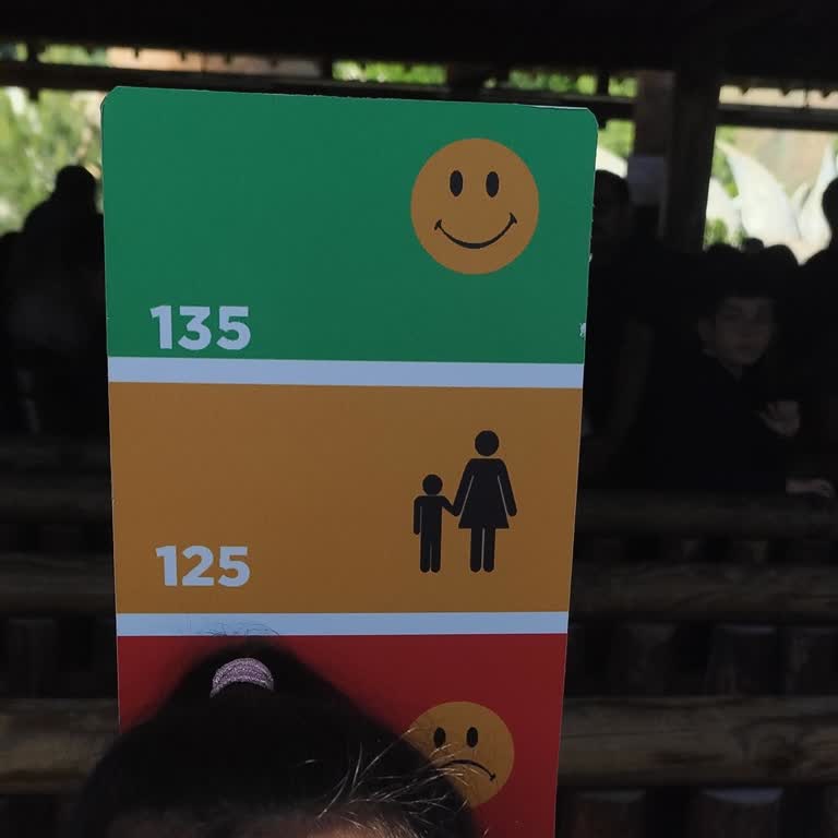 Vialand’ta Uzun Kuyruklar Ve VIP Ayrımcılığıyla Hayal Kırıklığı