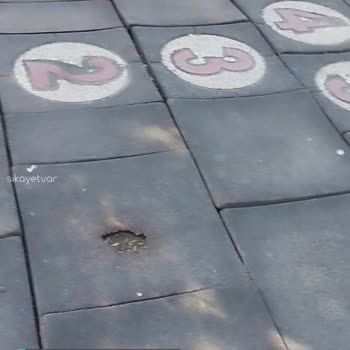 Mamak Belediyesi Altın Köprü Parkının Hali!