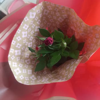 Hasarlı Kılıç Ve Yanlış Gül Fidanı İçin Yetersiz Kupon Teklifi