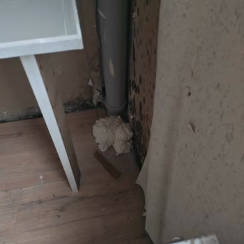 Geç Teslim Edilen Ve Kusurlu Dairede Sürekli Su Sızıntısı Ve Haksız Aidat Talebi