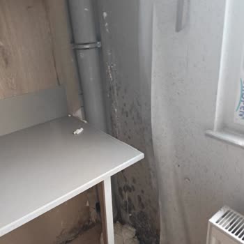 Geç Teslim Edilen Ve Kusurlu Dairede Sürekli Su Sızıntısı Ve Haksız Aidat Talebi