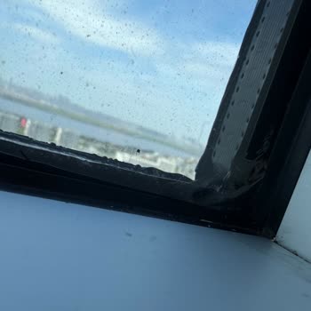 Delta Cam Filmleri Uygulamada Gözle Görülür Hatalar