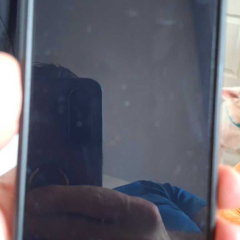 Şebeke Problemi Ve Telefonun Açılmaması