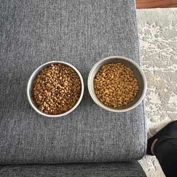 Pro Plan Kedi Maması Paketi Sahte, Açık Paket Nedeniyle İade Ve Satıcı İncelemesi Talebi