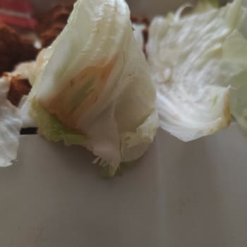 Migros Yemek’ten Bozuk Ve Eksik Ürün, Çözüm Sunulmadı