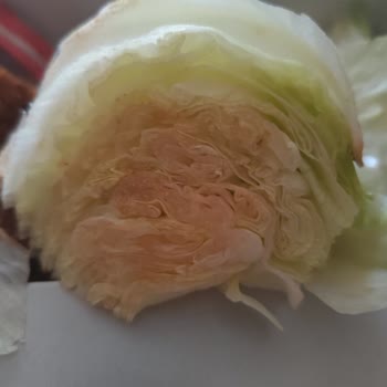 Migros Yemek’ten Bozuk Ve Eksik Ürün, Çözüm Sunulmadı