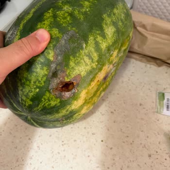 Yemeksepeti Market'ten Bozuk Karpuz Gönderildi, Tam İade İstiyorum