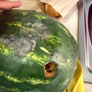 Yemeksepeti Market'ten Bozuk Karpuz Gönderildi, Tam İade İstiyorum