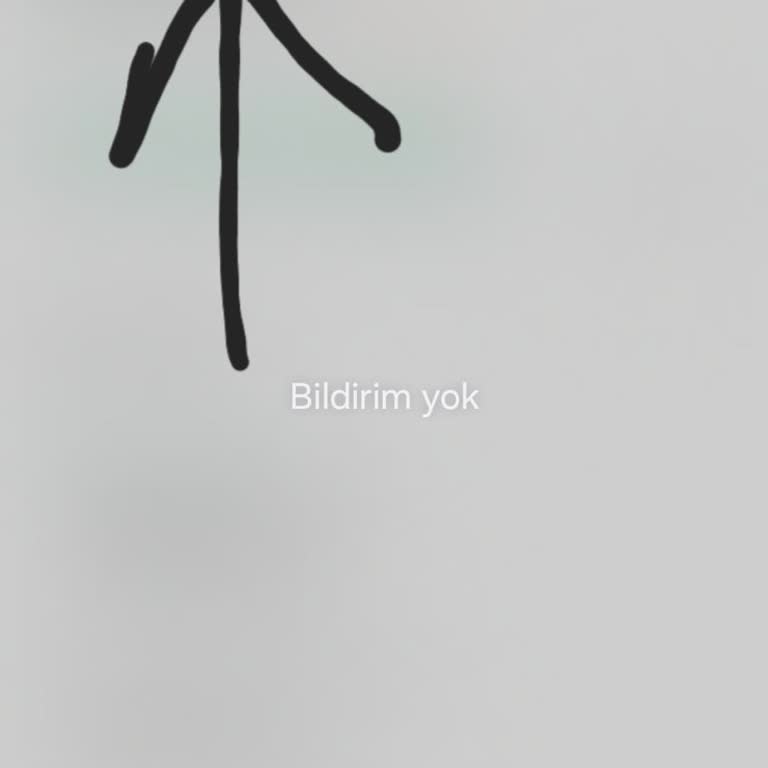 Doğum Günü Ürünü Teslim Edilmedi, Kargo Gecikmesi Ve Müşteri Hizmetleri Yanıtsız