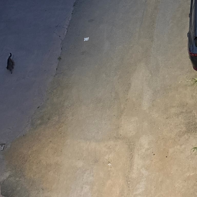 İstasyon Mahallesi'nde Yol Asfaltı Eksikliği Nedeniyle Yoğun Toz Ve Sağlık Sorunları