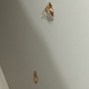 Alfemo Monica Yatak Odası Takımında Montaj Hataları Ve Ürün Deformasyonları