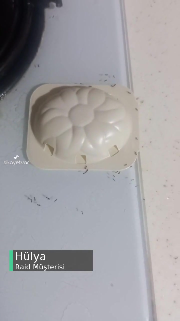 Raid Karınca Yemi İşe Yaramıyor videonun kapak resmi