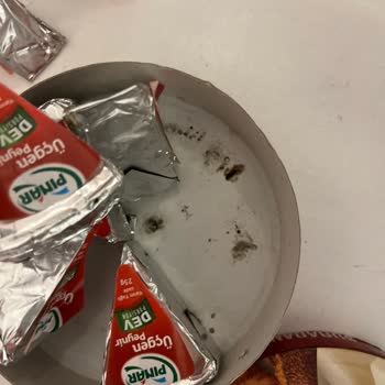 Küflü Pınar Peynirinde Soğuk Zincir Kesintisi