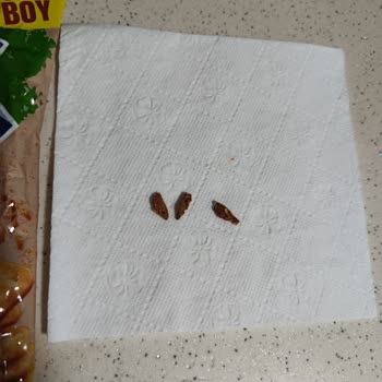 Eti Crax Thins Paketi İçinde Belirlenemeyen Siyah Cisimler Sağlık Ve Hijyen Endişesi