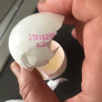 Bursa Bademli Migros Şubesinde Bozuk Yumurta Satın Alımı Ve Gıda Güvenliği Endişesi