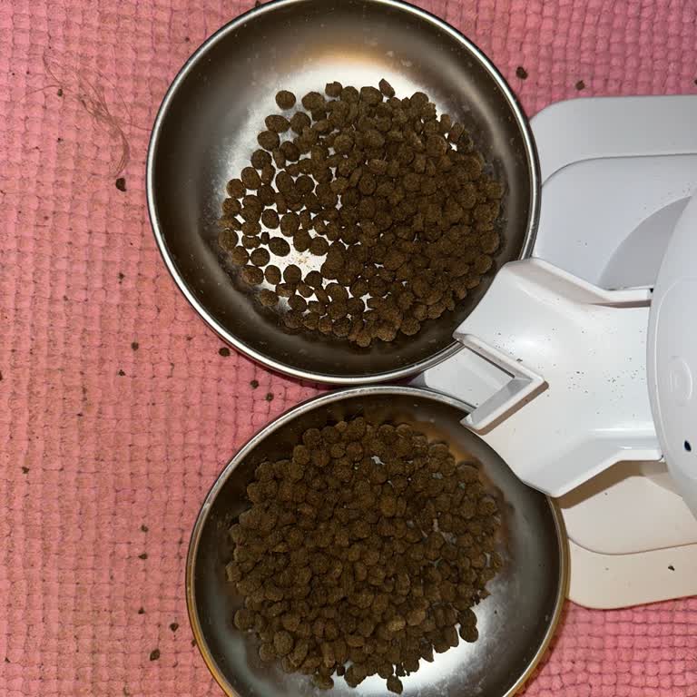 Sahte Kedi Maması Nedeniyle Kedilerimin İshal Yaşaması Ve Ücret İadesi