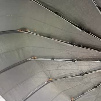 Kısa Sürede Paslanan Şemsiye Tüketici Hatası İddiası