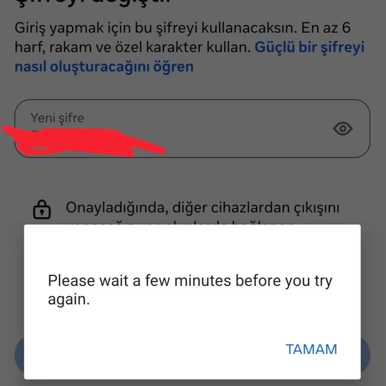 Instagram Hesabım Giriş Engeli Nedeniyle Mağdur Oldum