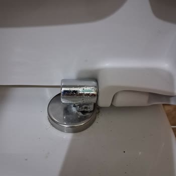 Vitra Klozet Kapağının Yedek Menteşesi Temin Edilemedi