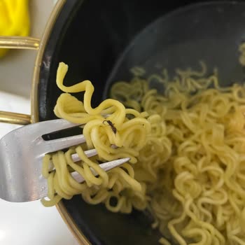 Böcekli Noodle Ürünü: Hijyen Ve Sağlık Endişesi