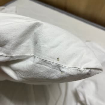 Lost Angels Eskişehir Otelinde Hijyen Sorunu: Kirli Nevresimler Ve Yastık Kılıfları