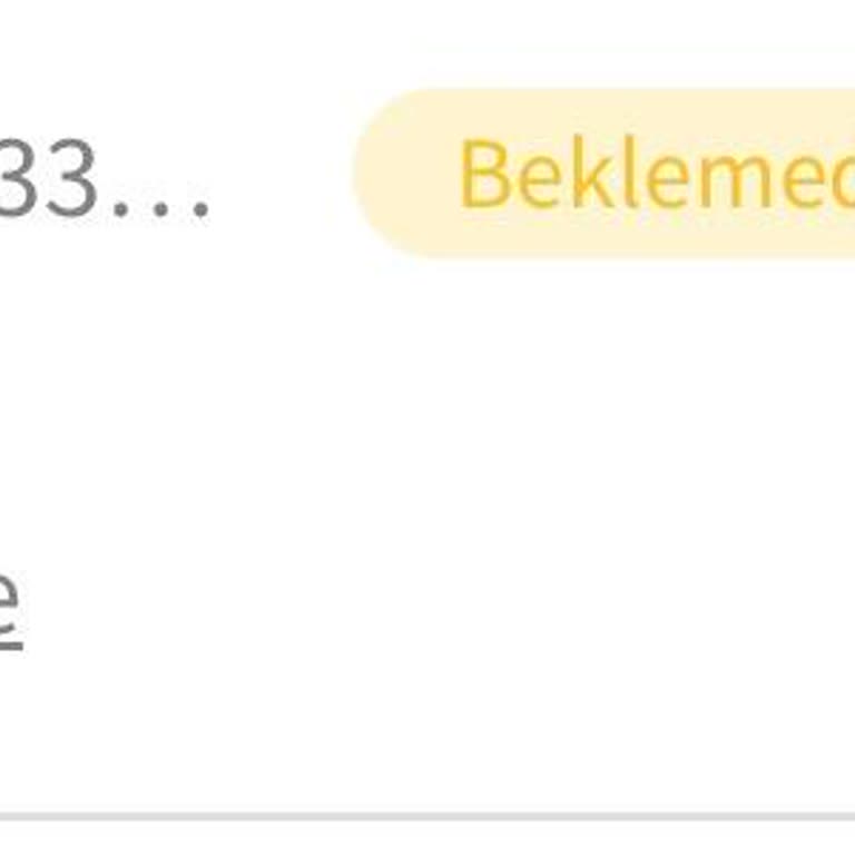 1500 TL Yatırma İşlemi Hesaba Yansımıyor Ve Destek Yetersiz