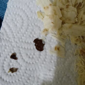 Haşiroğlu Küflü ve Metal Parçalar İçeren Yoğurtlu Tarhana Cipsi Üzerine Şikayet