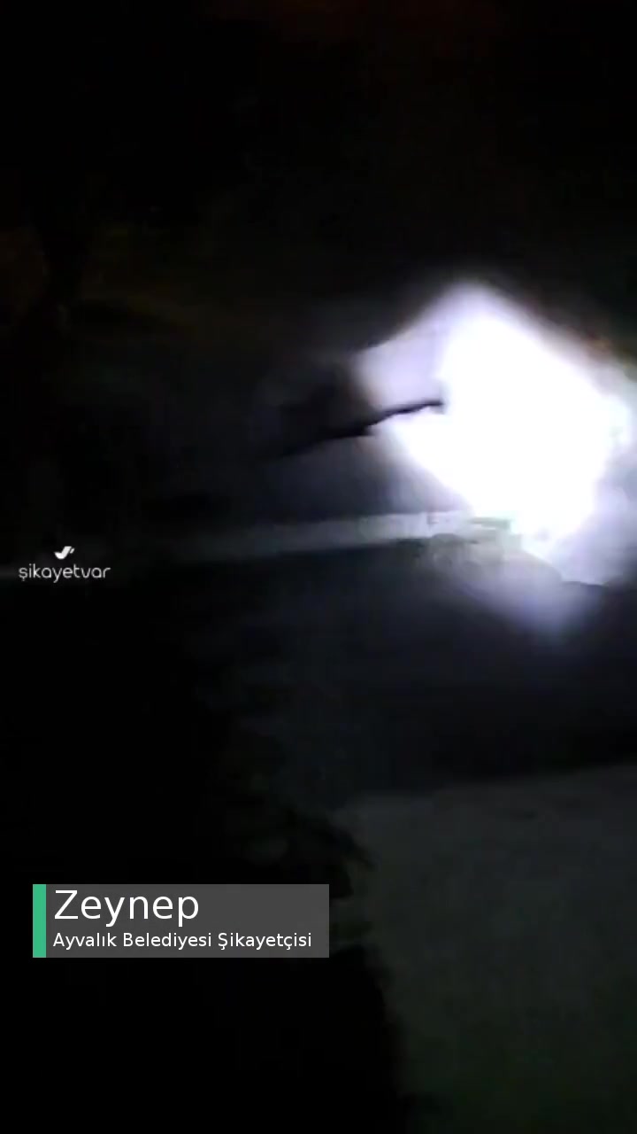 Ayvalık Belediyesi Çamlıkta Domuzlar Cirit Atıyor! videonun kapak resmi