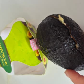 Kutulu Avokado Küflü: Sağlık Riski Ve 38 TL Zarar