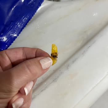 Patates Paketinde Böcek Tespiti Ve Hijyen Eleştirisi