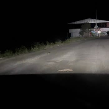 Akalın, Aktaş Ve Meşeler Güzergahındaki Çukurlu Yol Nedeniyle Ciddi Mağduriyet: Acil Onarım Talebi