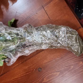 Meandros Flora'dan Aldığım Çiçeklerde Görsel Ve Ürün Farklılığı, Kargolama Sorunları Ve Engellenme