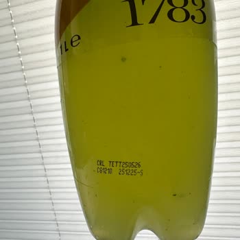 Schweppes Bitter Lemon’da Tortu Ve Mide Bulantısı: Gıda Güvenliği Endişesi