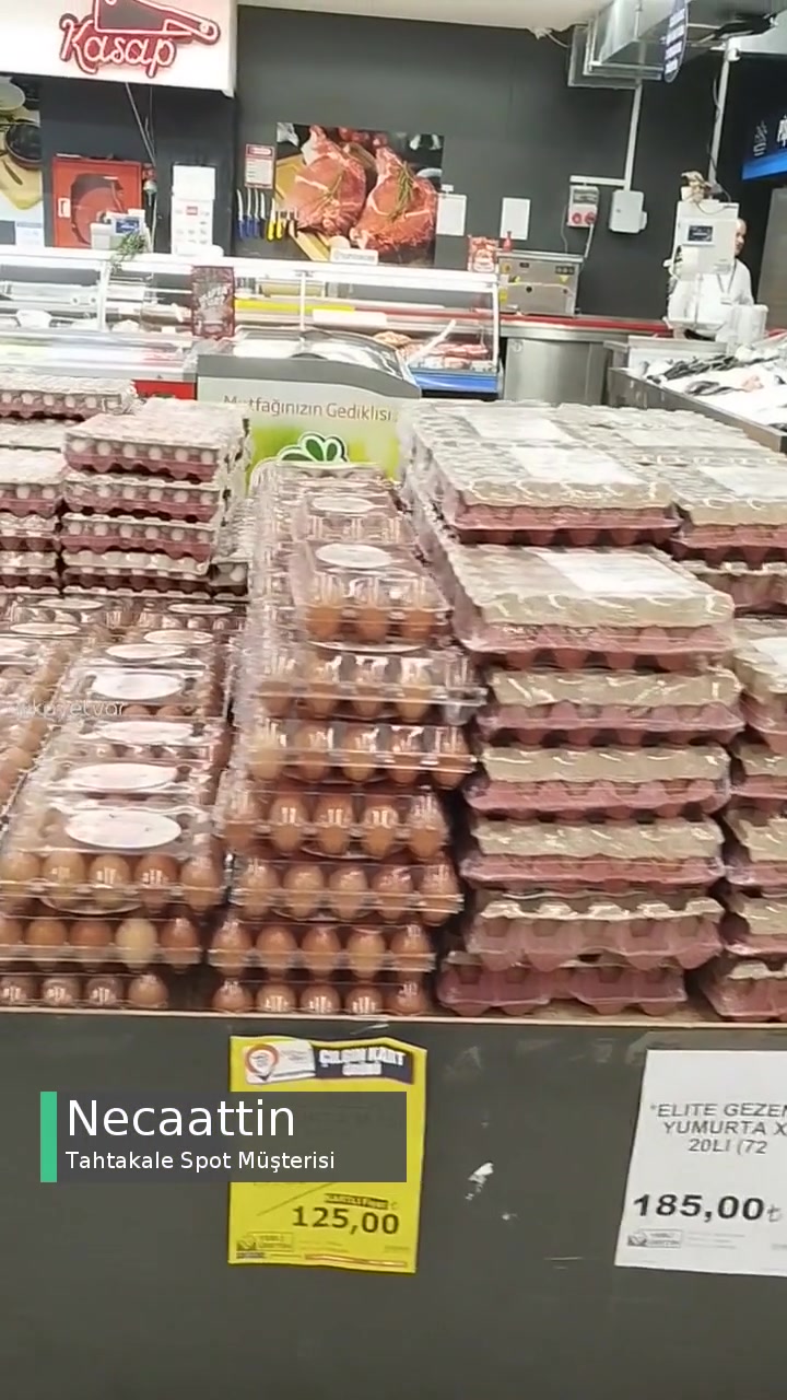 Tahtakale Spot Yumurta Uyanıklığı! videonun kapak resmi