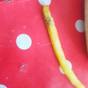 Dondurulmuş Patatesin İçinde Çürük Patates Bulundu: Hijyen Ve Kalite Şikayeti
